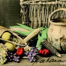 Postales: FRUTAS -HABANA AÑO 1907- SELLO DE CUBA-FOTOGRÁFICA