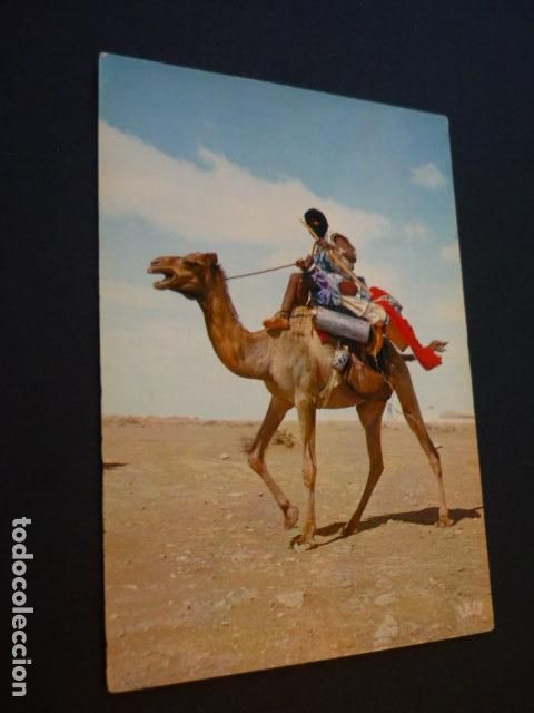 Postales: SAHARA ESPA&Ntilde;OL - Foto 1