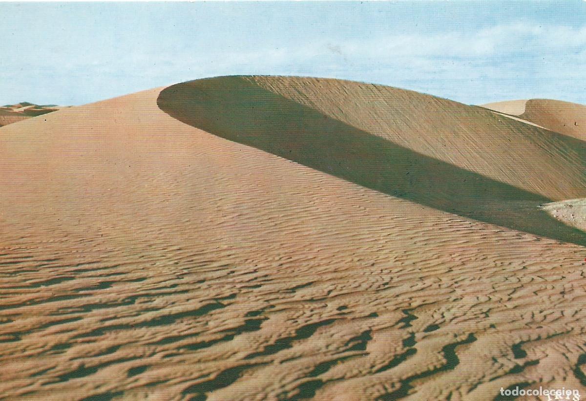 Postales: SAHARA EL AAIUN EN LAS DUNAS 2 - Foto 1