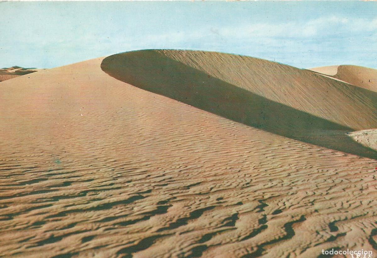 Postales: SAHARA EL AAIUN EN LAS DUNAS - Foto 1