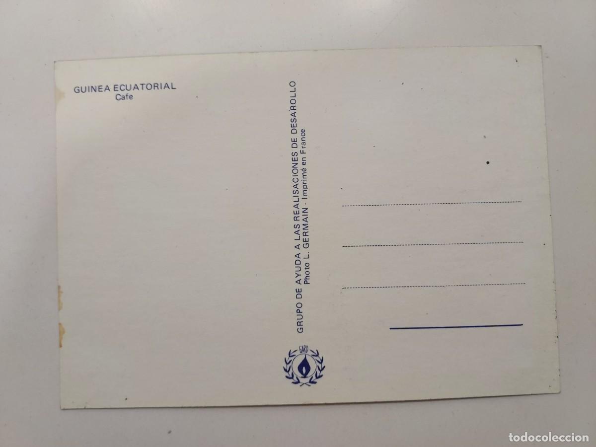 Postales: POSTAL GUINEA ECUATORIAL CAFE. SIN CIRCULAR - Foto 2