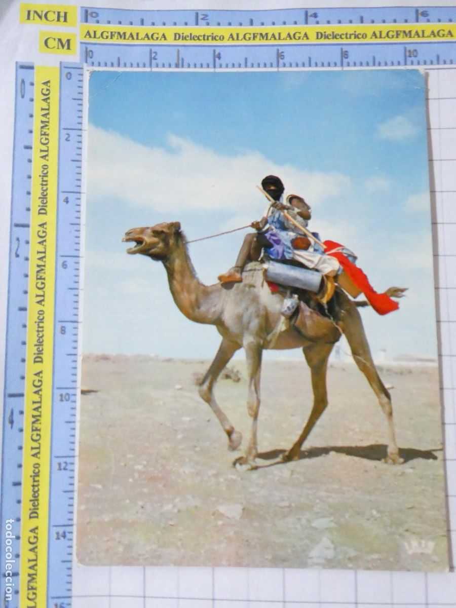 Postales: POSTAL DE MARRUECOS SAHARA ESPA&Ntilde;OL. COLONIAS PROTECTORADO. N&Oacute;MADA DESIERTO TUAREG. 713