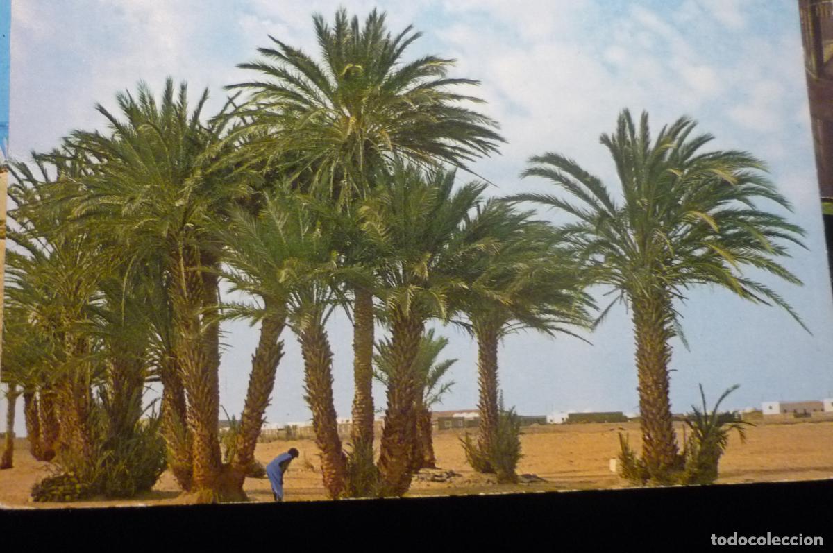 Postales: postal sahara smara parcial escrita