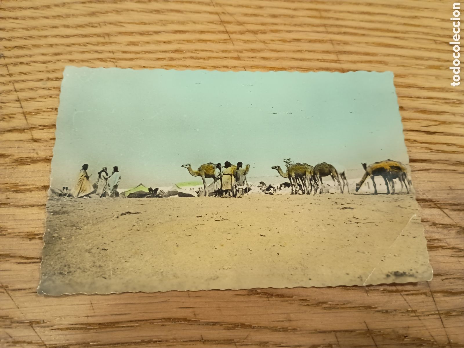 Postales: EL AAI&Uacute;N (S&Aacute;HARA ESPA&Ntilde;OL) - MERCADO DE CAMELLOS - ED. GUERRERO