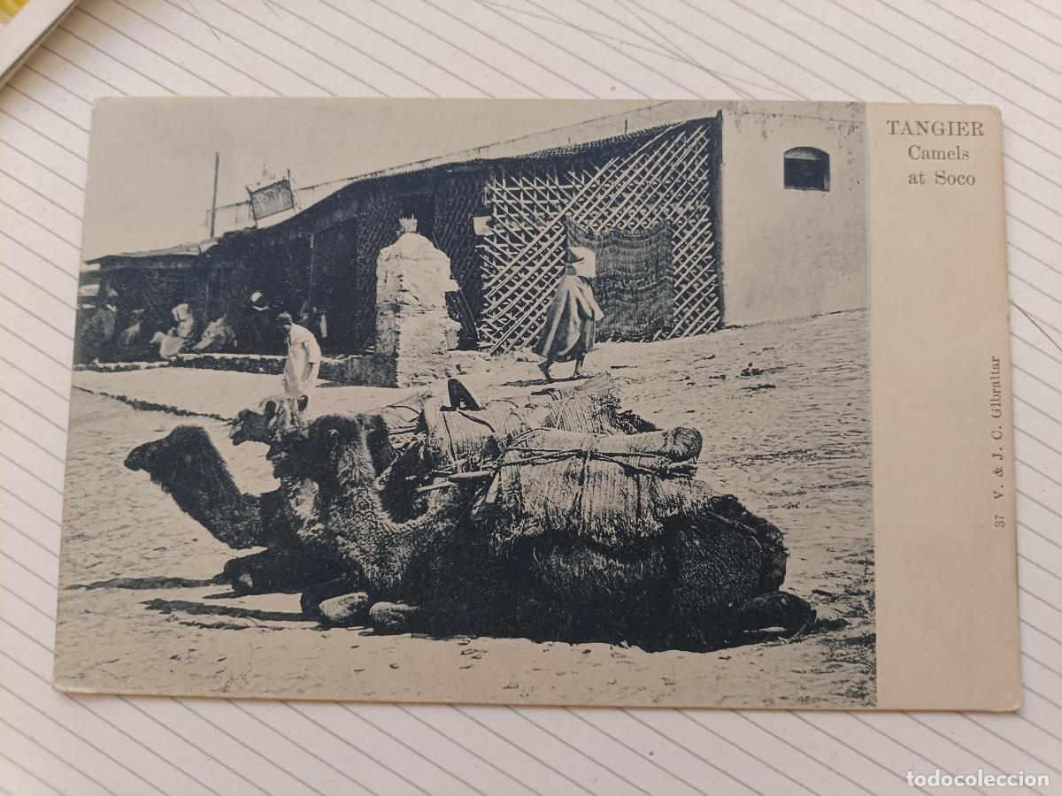 Postales: Tanger, postal antigua. Dorso sin dividir