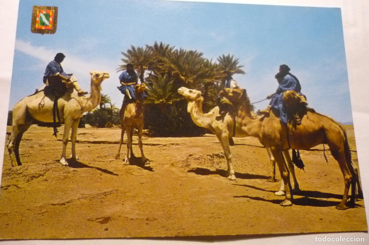 Postales: postal sahara caravana de meharistas