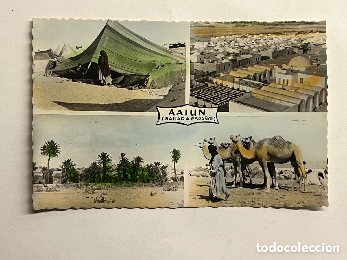 Postales: AAIUN (Sahara Espa&ntilde;ol) Postal 470, Coloreada. Vistas Panor&aacute;micas. Ed. Guerrero (h.1960?) circulada