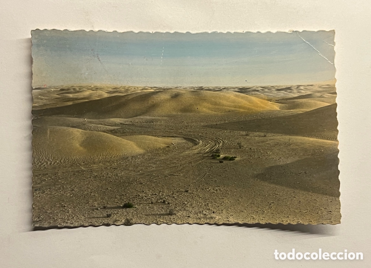 Postales: SAHARA ESPA&Ntilde;OL. Postal coloreada No.37, La pista atraves de la cadena de dunas. Foto A. Porras