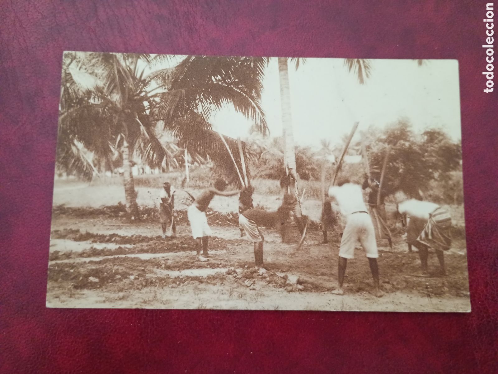 Postales: GUINEA CONTINENTAL ESPA&Ntilde;OLA IND&Iacute;GENAS APISONANDO EL CAMINO RECI&Eacute;N TRAZADO PUBLICACIONES PATRI&Oacute;TICAS