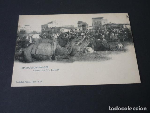 Postcards: MARRUECOS TANGER CAMELLOS DEL ZAHARA POSTAL HAUSER Y MENET REVERSO SIN DIVIDIR