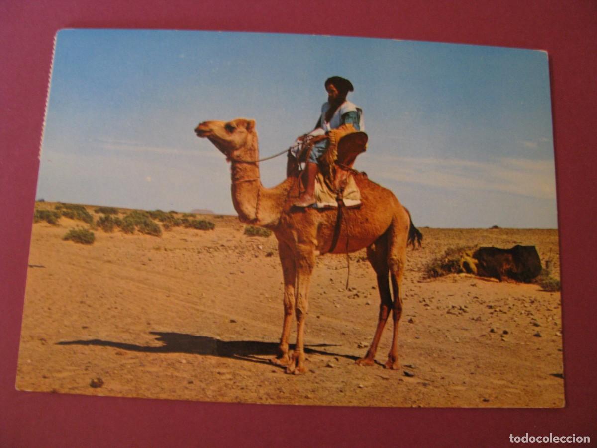 Postales: POSTAL DE SAHARA. MEHARISTA. DISTRIBUIDORA RABADAN. CIRCULADA 1972