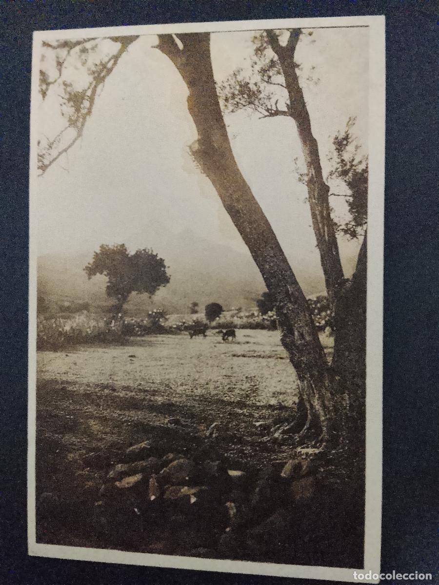 Postales: Postal El Rif: paisaje de barraca. J. Ortiz Echag&uuml;e