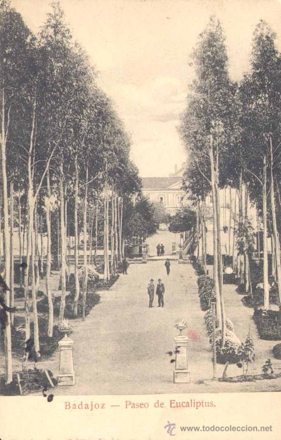 Postales: BADAJOZ.-PASEO DE EUCALIPTUS - Foto 1