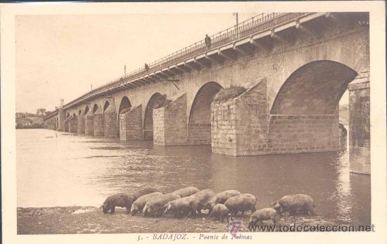 Postales: BADAJOZ.-PUENTE DE PALMAS - Foto 1