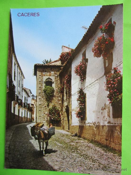 Postales: rincon tipico de caceres - Foto 1
