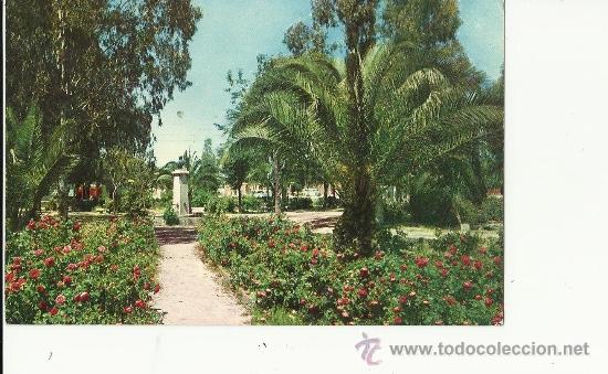Postales: Postal Navalmoral de la Mata sin circular - Foto 1