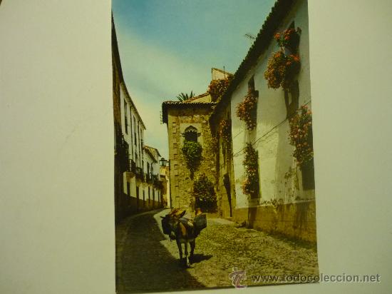 Postales: POSTAL 2055 CACERES - Foto 1