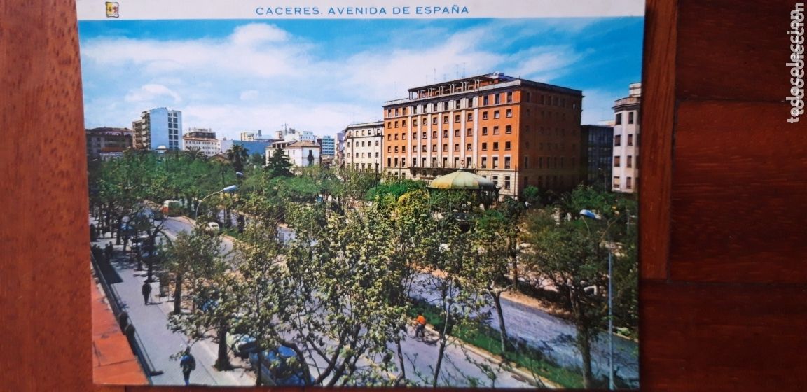Postales: POSTAL C&Aacute;CERES AVDA. DE ESPA&Ntilde;A - Foto 1