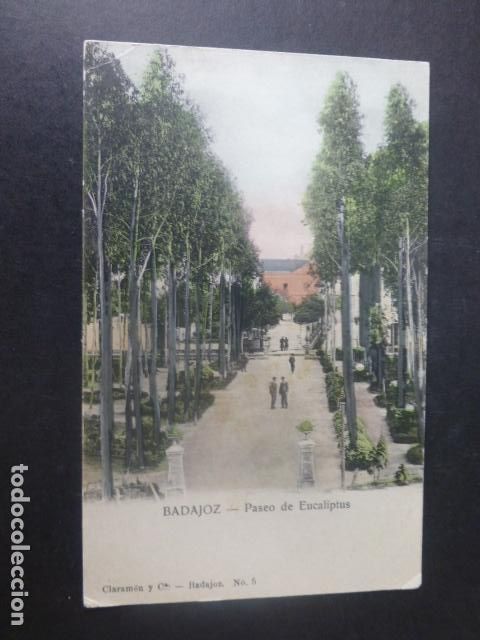 Postales: BADAJOZ PASEO DE EUCALIPTUS - Foto 1