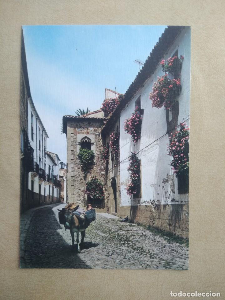 Postales: Postal caceres rincon tipico - Foto 1