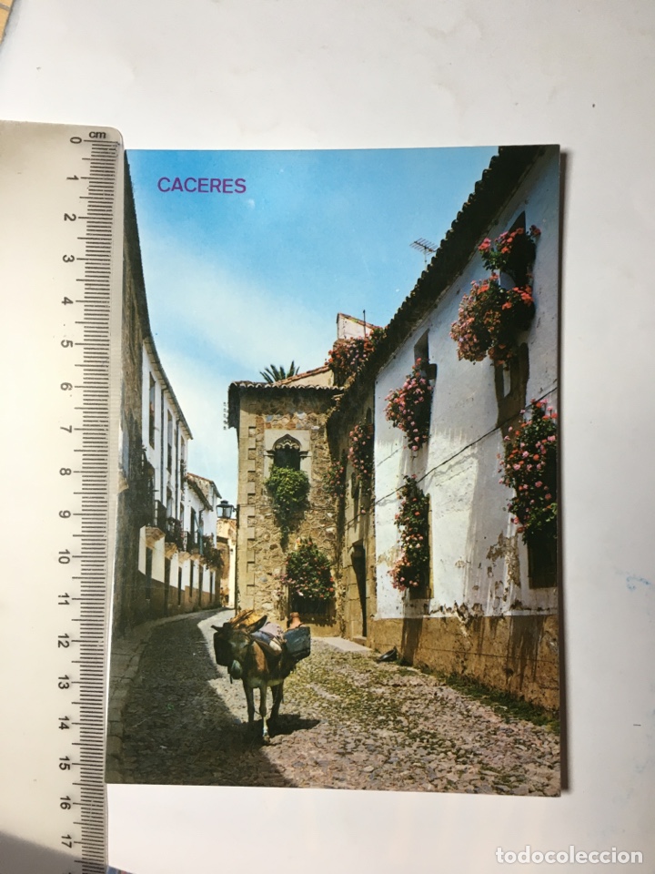 Postales: POSTAL. C&Aacute;CERES. RINC&Oacute;N T&Iacute;PICO. EDICIONES ARRIBAS. - Foto 1