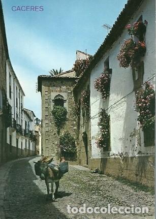 Postales: POSTAL A COLOR CACERES - Foto 1