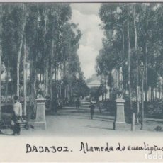 Postales: BADAJOZ - ALAMEDA DE EUCALIPTUS - ANICETO ARQUEROS. Lote 234285195