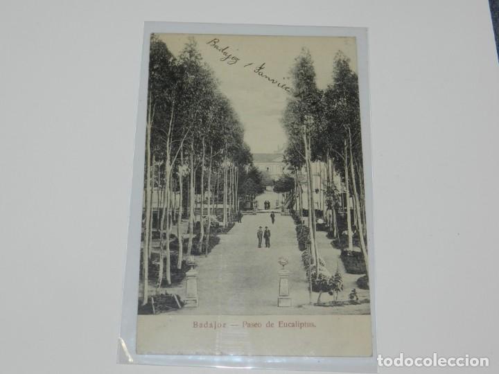 Postales: BADAJOZ, PASEO DE EUCALIPTUS, - Foto 1