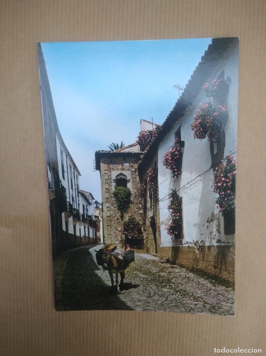 Postales: Postal caceres rincon tipico - Foto 1
