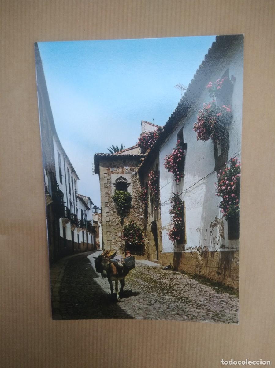 Postales: Postal caceres rincon tipico - Foto 2