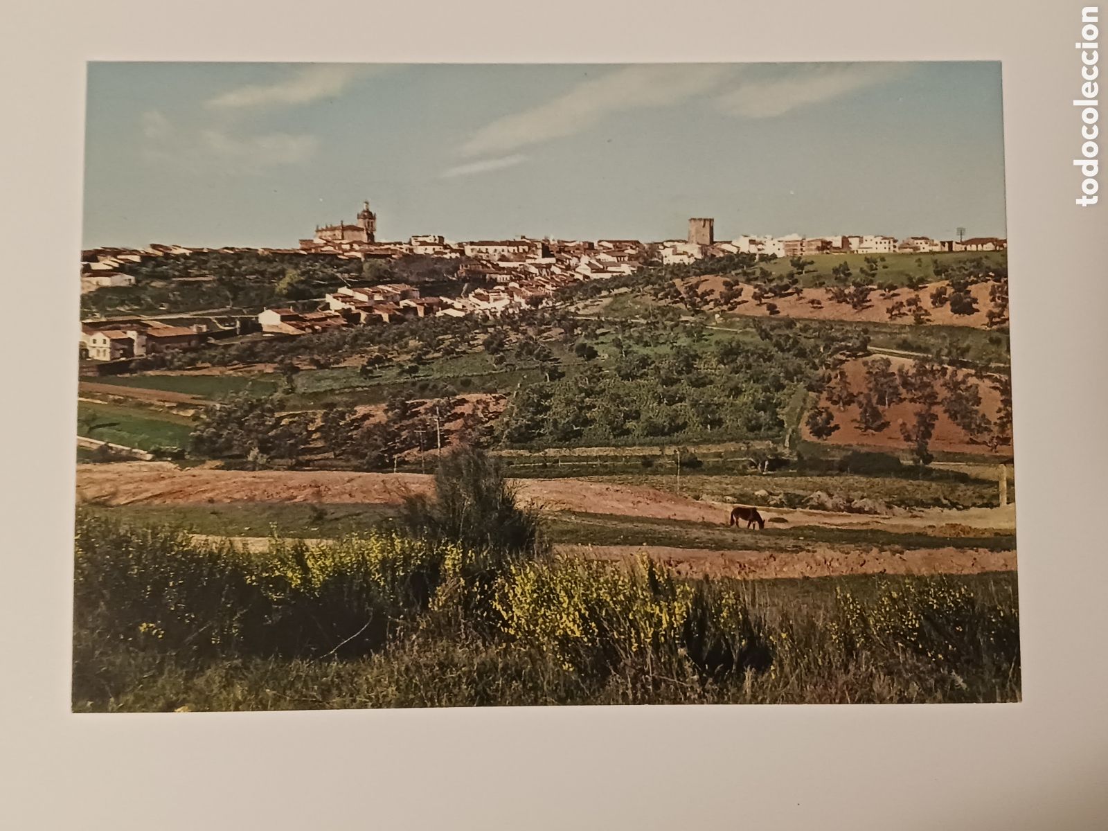Postales: C&aacute;ceres (15 postales). - Foto 14