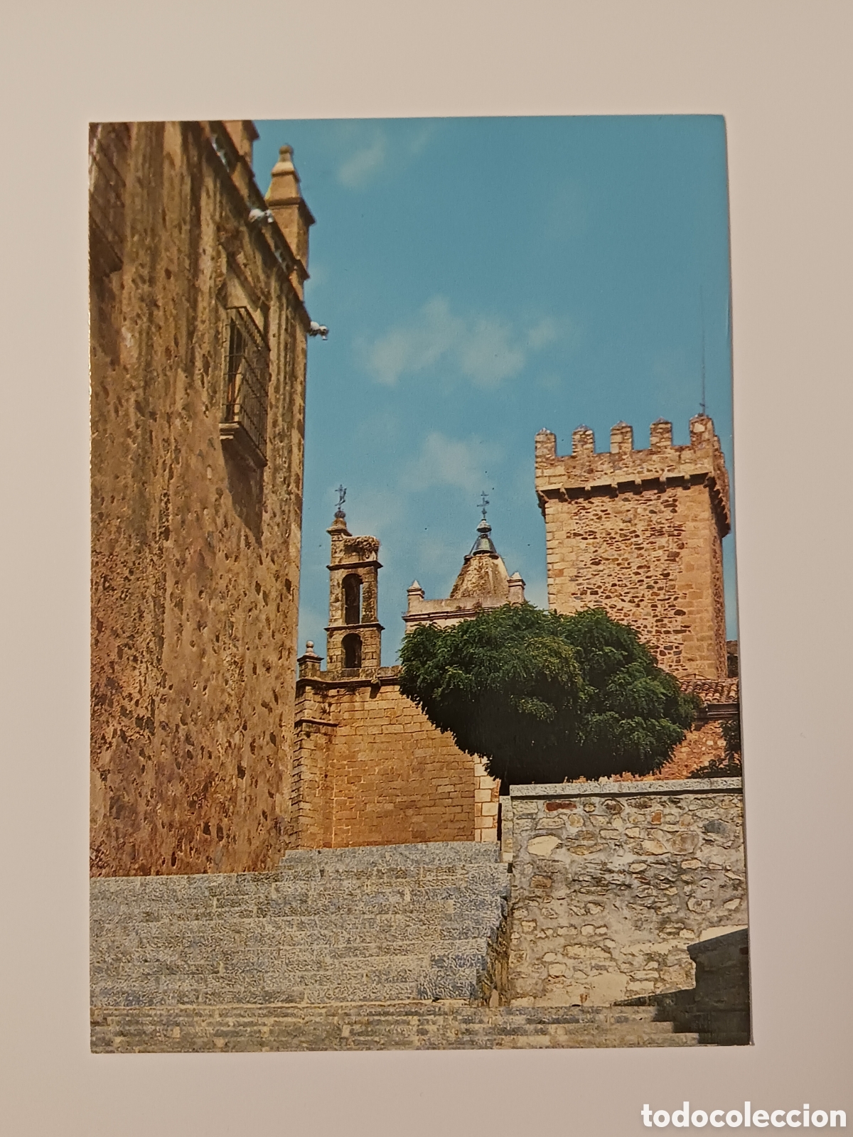 Postales: C&aacute;ceres, Torre de la Cig&uuml;e&ntilde;a. - Foto 1