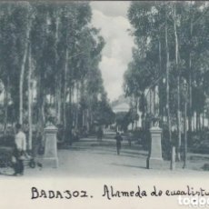 Postales: BADAJOZ - ALAMEDA DE EUCALIPTUS - ANICETO ARQUEROS. Lote 402564909
