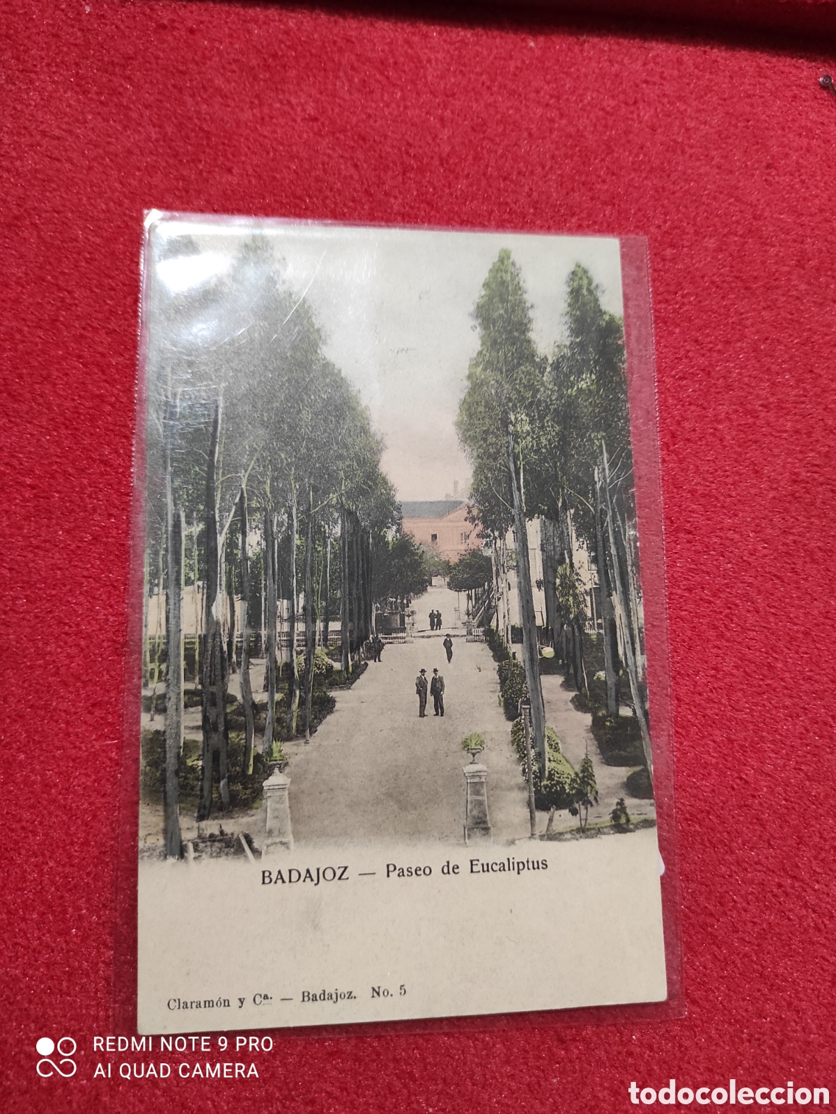 Postales: Postal Badajoz - Paseo de Eucaliptus - Foto 1