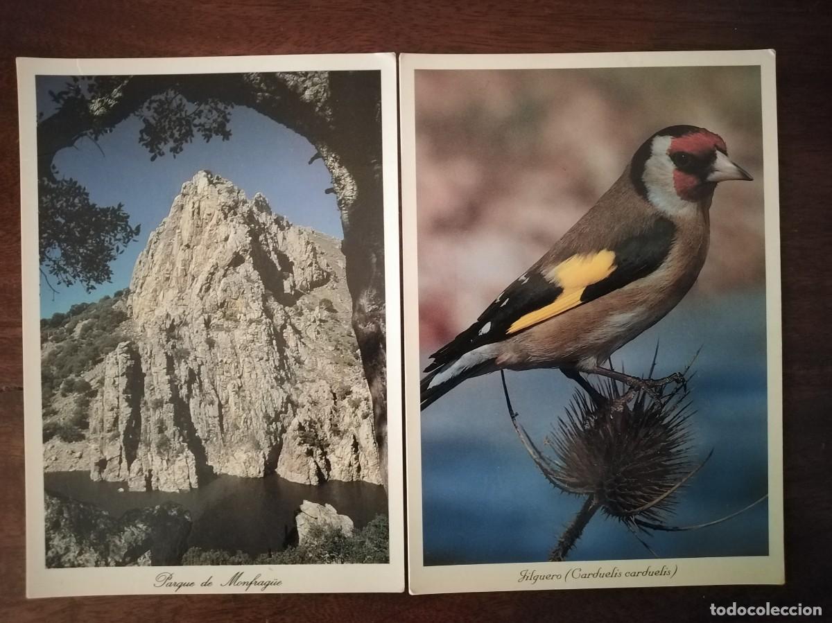 Postales: 2 postales de Monfrag&uuml;e, C&aacute;ceres. - Foto 1
