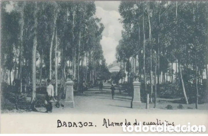 Postales: BADAJOZ - ALAMEDA DE EUCALIPTUS - ANICETO ARQUEROS - Foto 1
