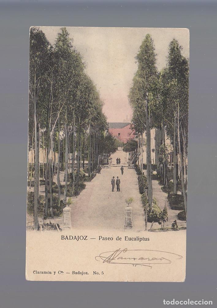 Postales: BADAJOZ.- PASEO DE EUCALIPTUS - Foto 1