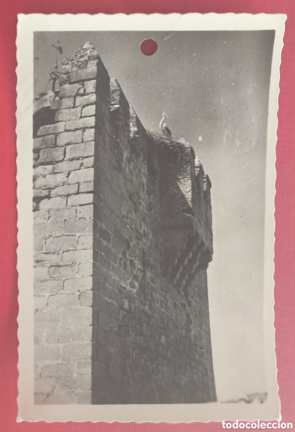 Postales: C&Aacute;CERES LA CIG&Uuml;E&Ntilde;A TORRE POSTAL FOTOGR&Aacute;FICA EXTREMADURA C. 1955