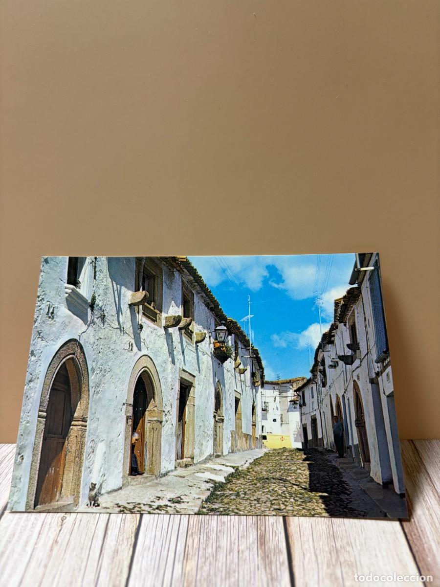 Postales: TARJETA POSTAL. C&Aacute;CERES. 13.- VALENCIA DE ALCANTARA. CALLE T&Iacute;PICA. EDICIONES ARRIBAS