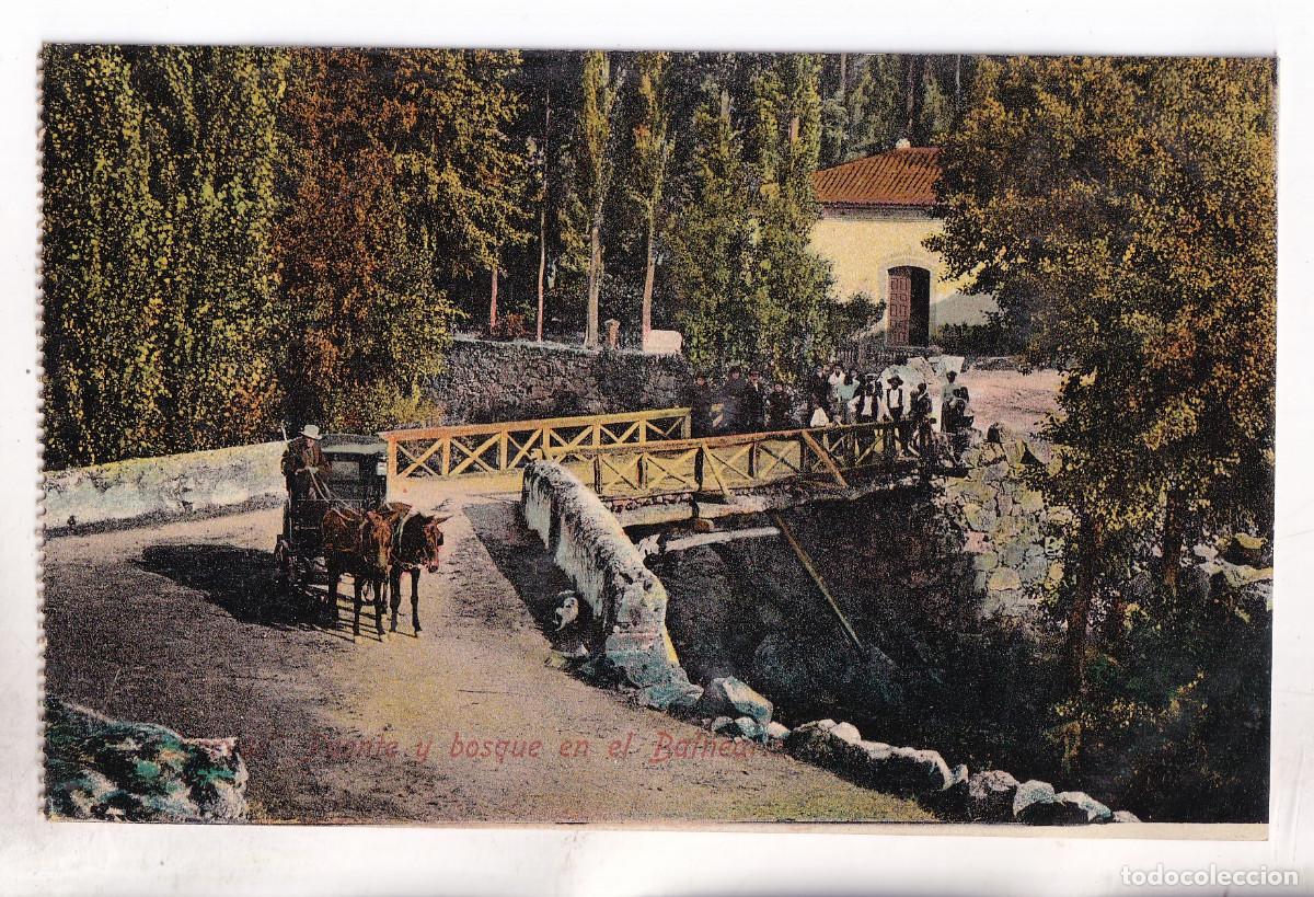 Postales: POSTAL. HERV&Aacute;S. PUENTE Y BOSQUE EN EL BALNEARIO. C&Aacute;CERES.