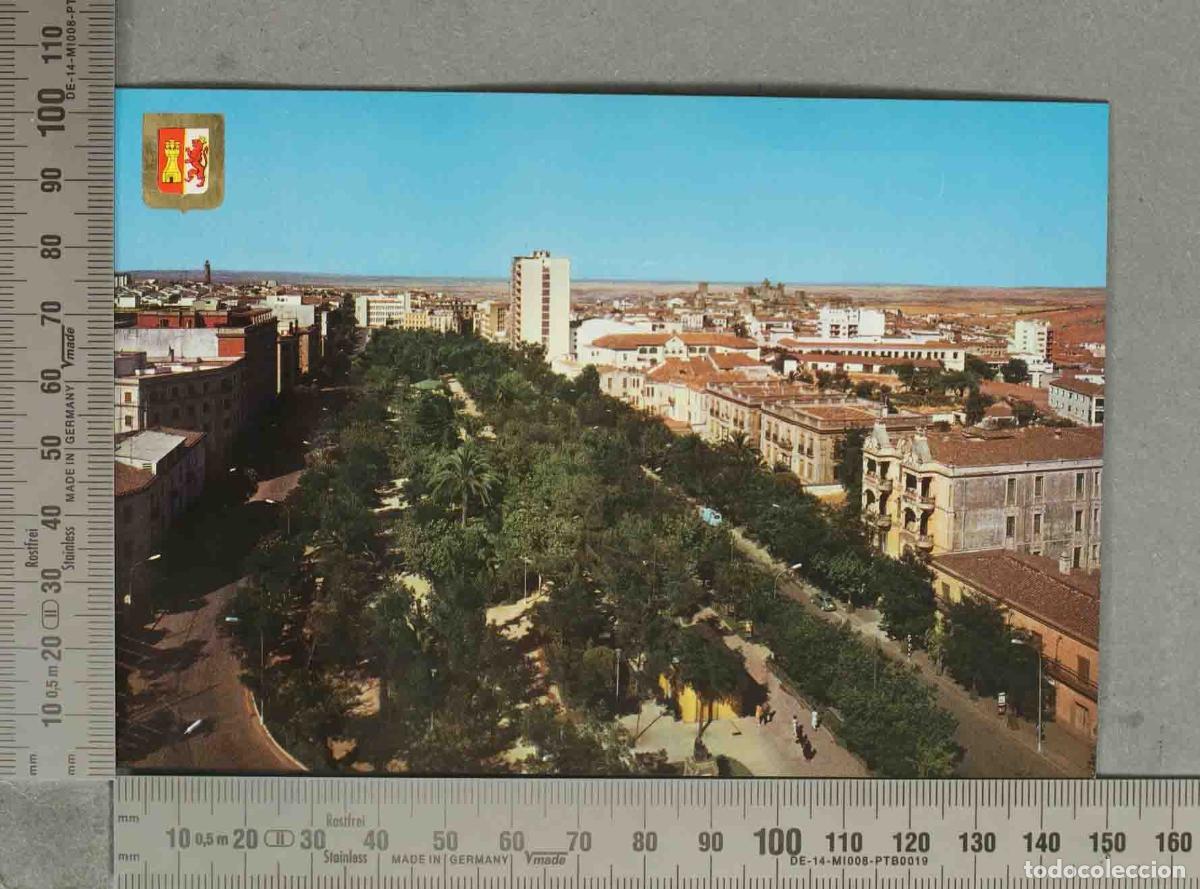 Postales: POSTAL. C&aacute;ceres - Avenida de Espa&ntilde;a - Postal n&ordm; 14