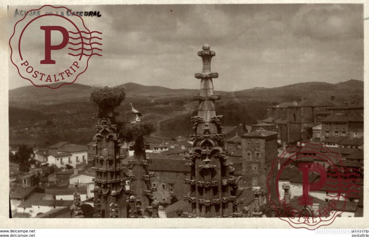 Postales: PLASENCIA. AGUJAS DE LA CATEDRAL. - FOTOGRAFICA