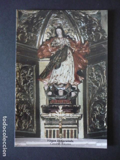 Postales: CACERES CATEDRAL INMACULADA