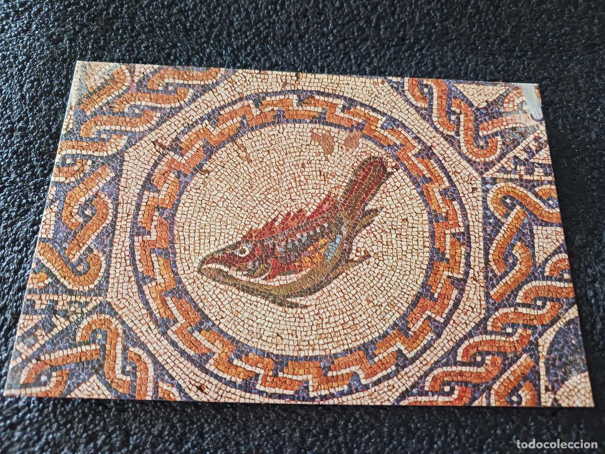 Postales: 41 merida, casa del anfiteatro, mosaico de los peces, ed. garrabella
