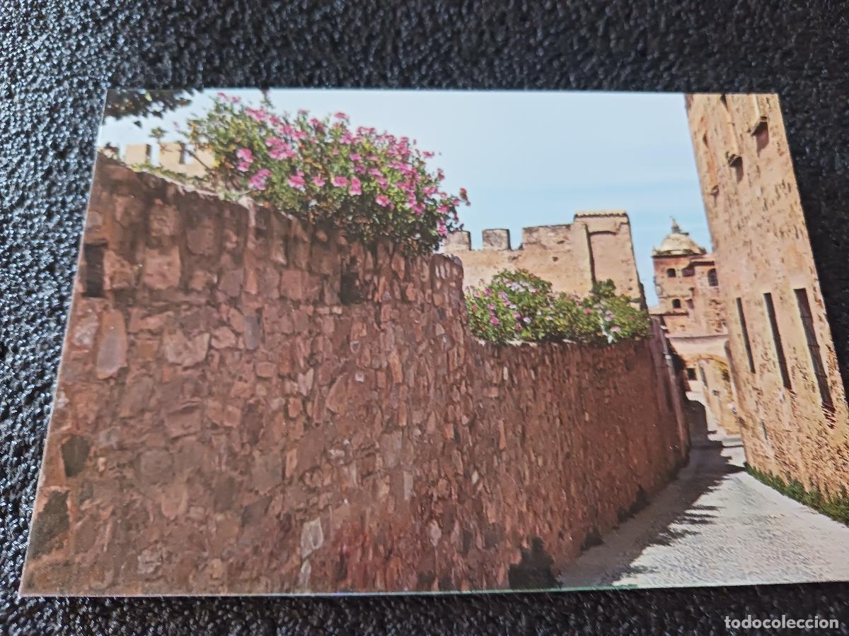 Postales: 88 caceres, torre palacio de toledo moctezuma y muralla, ed. arribas