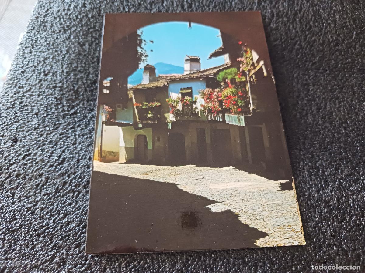 Postales: guadalupe calle tipica, ed. fiter