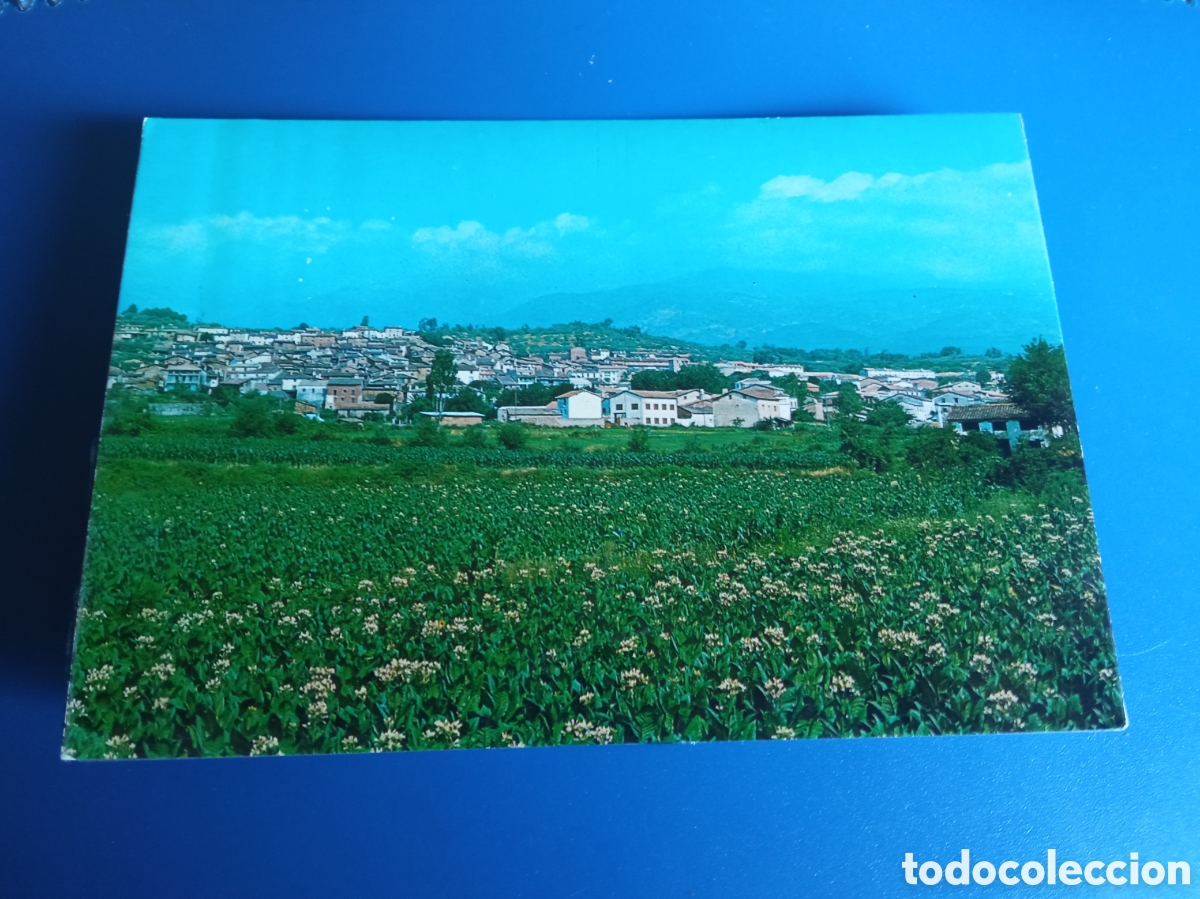 Cartes Postales: Antigua postal fotogr&aacute;fica, Madrigal de la Vera (C&aacute;ceres) 1969