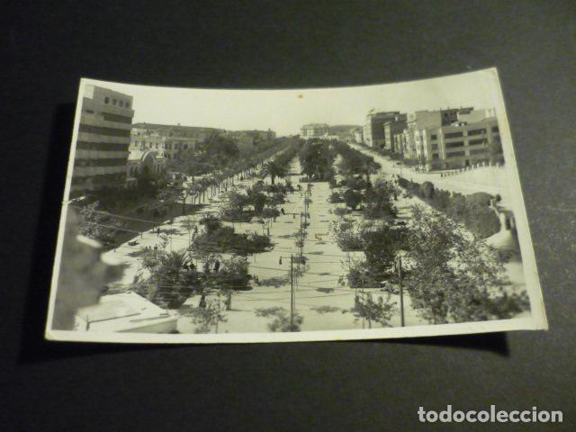 Postales: CACERES PASEO DE CANOVAS FOT. JAVIER N&ordm; 83