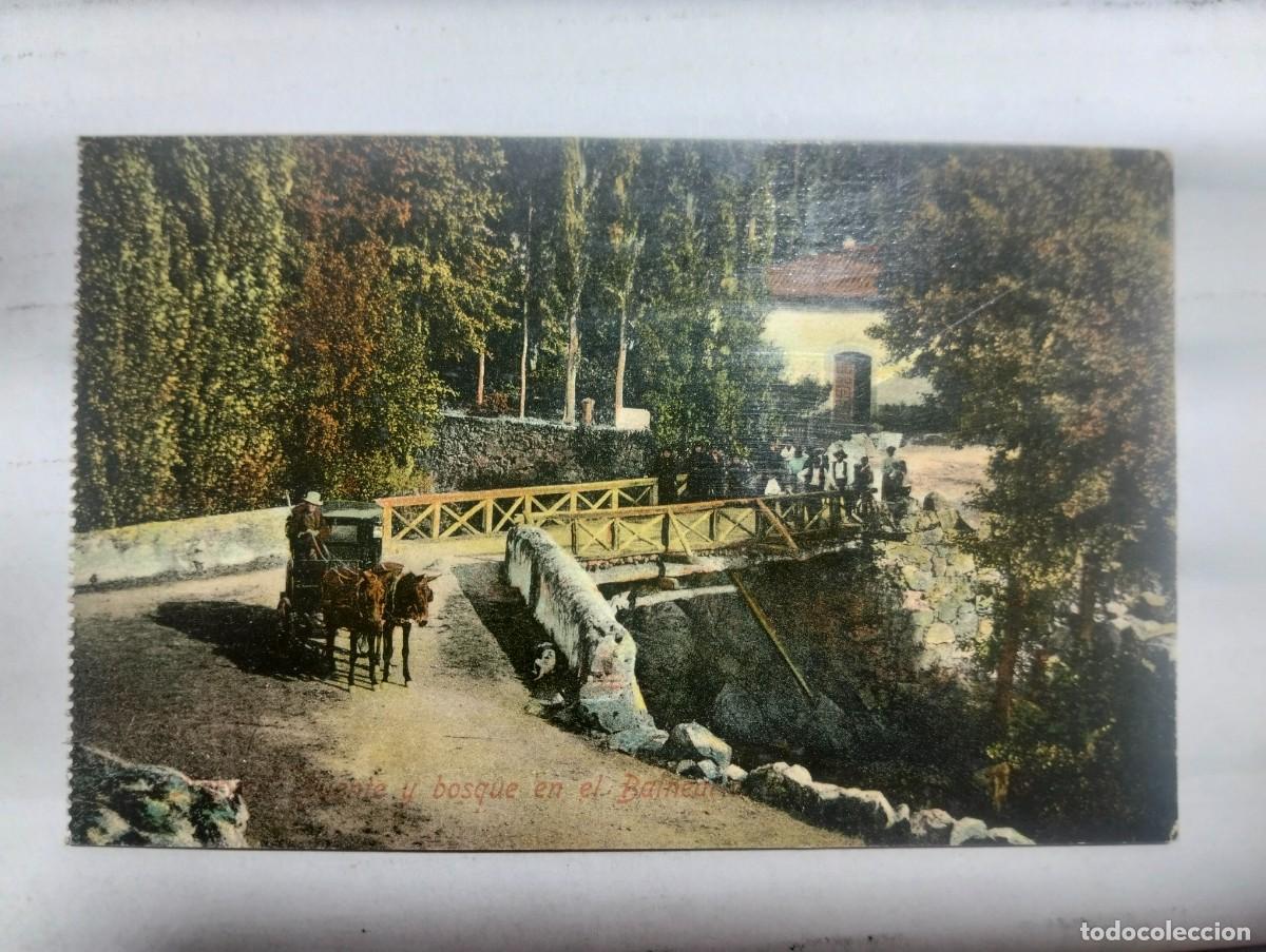 Postales: Antigua postal Hervas puente y bosque en el Balneario-Editor casas