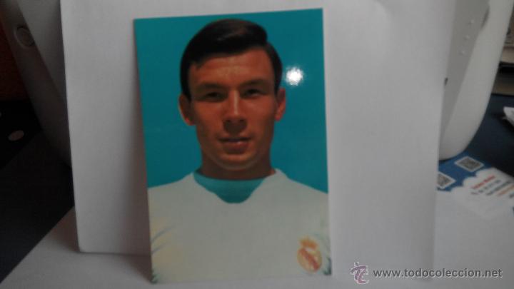 Colecionismo desportivo: postal jugador real madrid de Felipe
